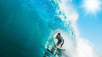 娱乐吃瓜冲浪社,揭秘娱乐圈幕后故事，带你畅游八卦海洋